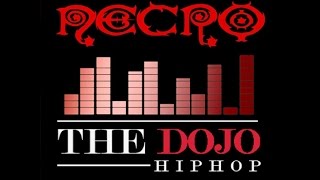 The Dojo Hiphop: Exclusive Interview with Necro (Necro Death Rap)