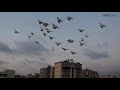 Hamamati The Kings Of Beirut S Rooftops