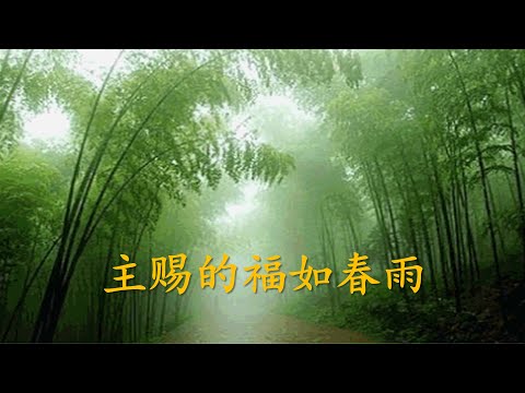 TS 诗歌 - 主赐的福如春雨