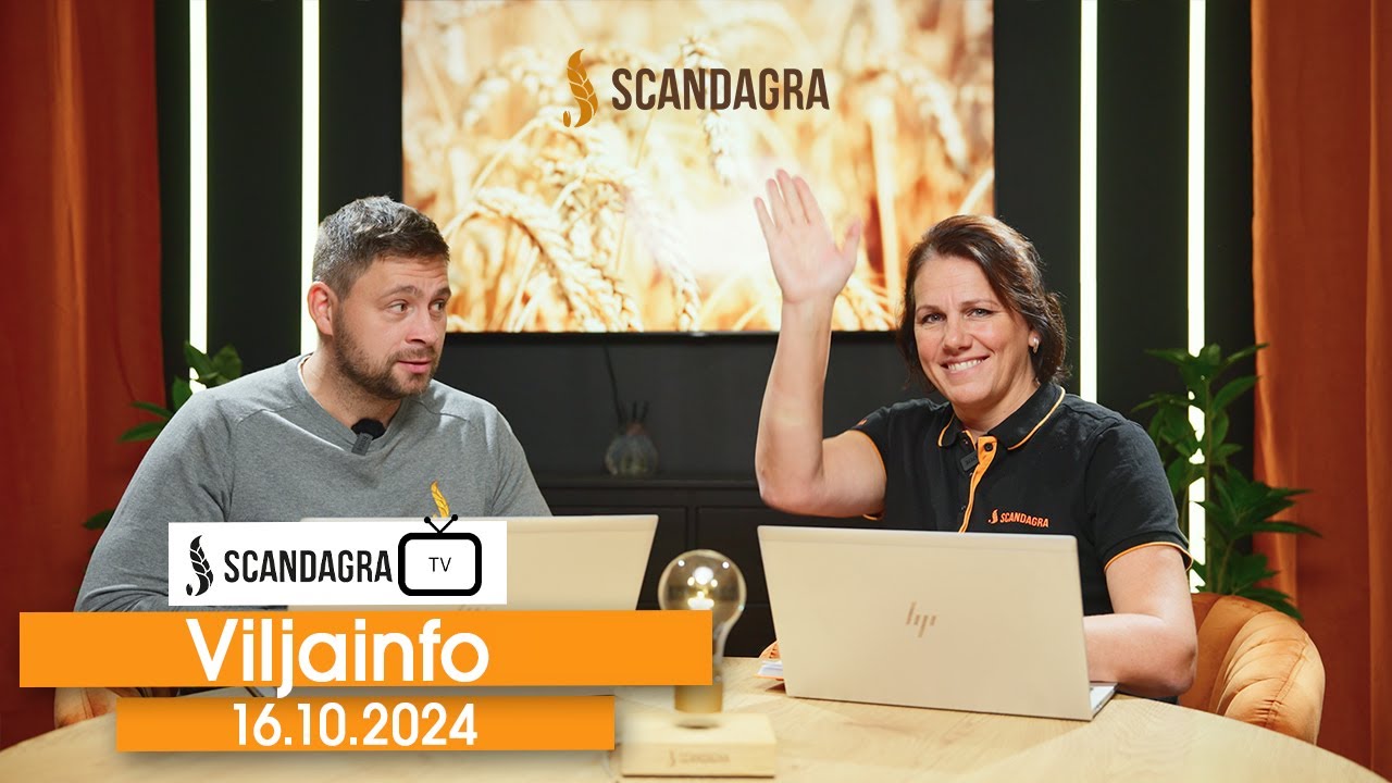 Scandagra VILJAINFO 16.10.2024