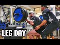 LEG DAY Con Il Coach Mauro Sassi