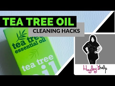 download lagu mp3 mp4 Tea Tree Cleaning Products, download lagu Tea Tree Cleaning Products gratis, unduh video klip Tea Tree Cleaning Products