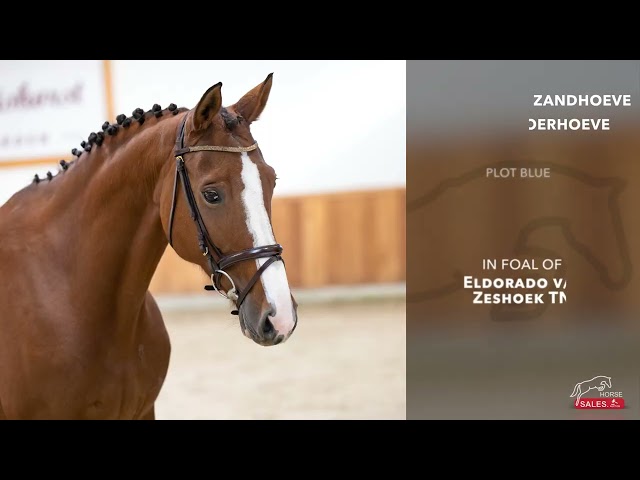 Rustina v/d Zandhoeve JW de Moerhoeve