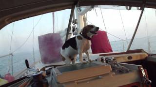 Cooper's American Idol Audition Video