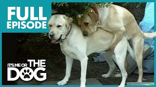 Thumbnail del capítulo