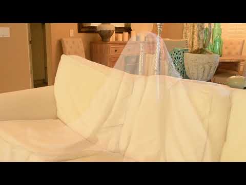 Greeting Ghosts - A Skeleton Scene