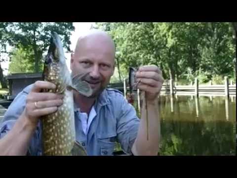 Matze Koch Poppifant Wobbler