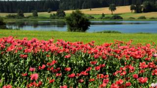 Edith & Manfred   Glocken der Heimat