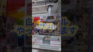 クレゲ日記 白銀ノエル #クレーンゲーム #ホロライブ
