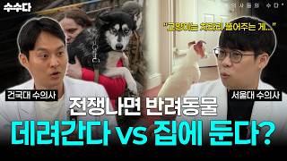 전쟁 상황에서 반려동물을 지키는 현실적인 방법 | 수의사들의 수다 EP.2