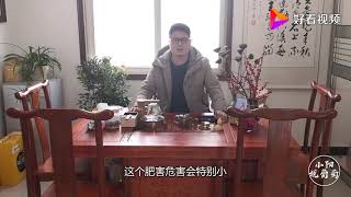 葡萄根系该怎么养护？农村小伙细致讲述，改良土壤是关键