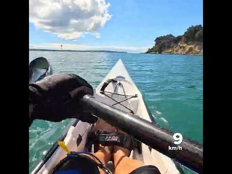 Nice day! #surfski #paddler #fitnessmotivation #newzealand