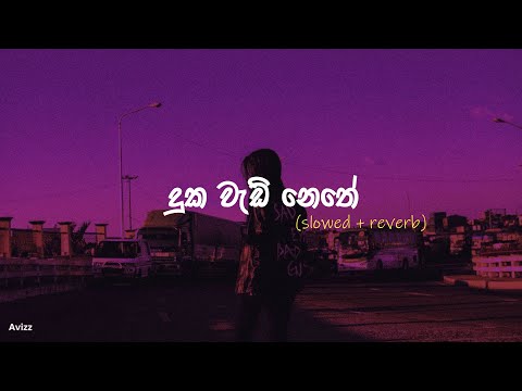 Duka wadi nethe | දුක වැඩි නෙතේ (slowed + reverb)