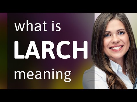 Larch • LARCH definition