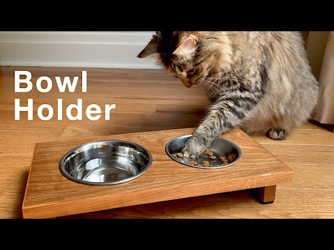 Cat Bowl Holder Project for a Cat That Loves to Play with Water