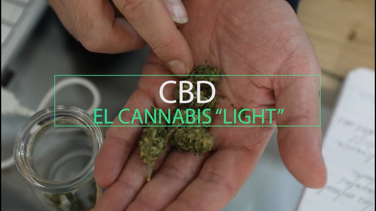 El CBD: el cannabis que no coloca