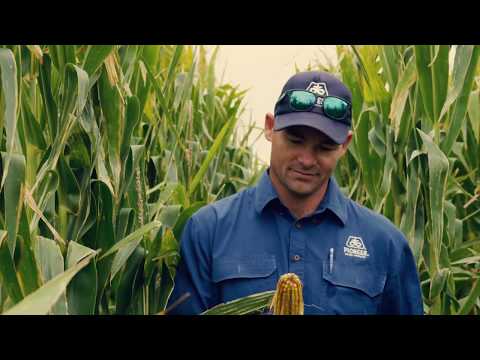 Pioneer - Customer Success Story