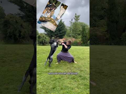 Can you fight with a dog?