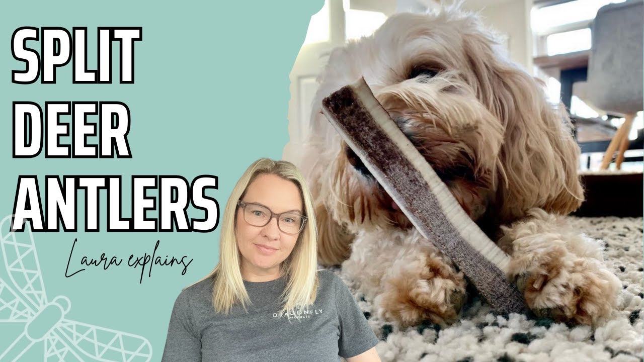 Split Deer Antlers for Dogs | Video