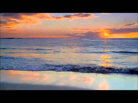 ll selenzio slow versie