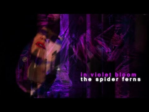 The Spider Ferns -In Violet Bloom (Official Video)