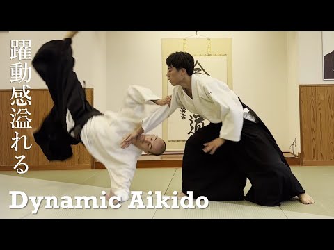 Dynamic Aikido Techniques - Yamamoto Sojiro