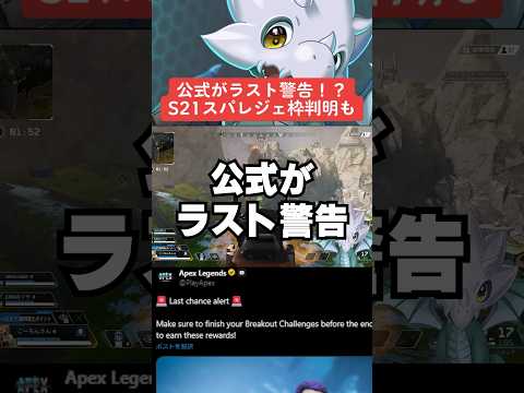 ラウトについて詳しく解説