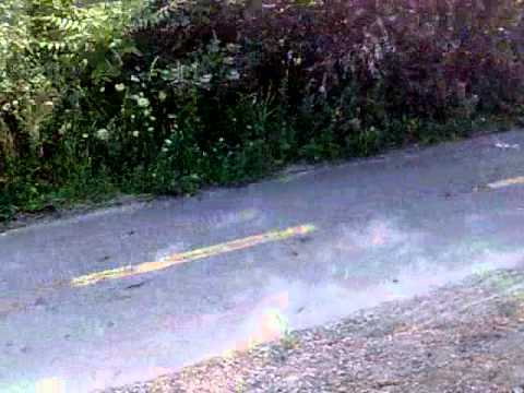 Yolanda vs Radio slave(Steiner rmx)..mp4