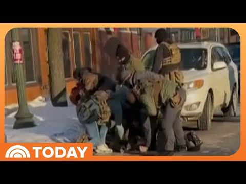 New Video Shows Alex Pretti Clash With ICE Days Before Death