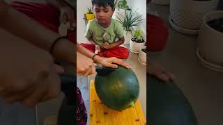 Download lagu Started from a seed and here we are 🍉 #watermelon #watermelonsugarcover #plantlover #homegrown mp3