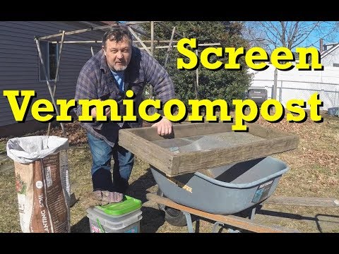Screen many months old vermicompost - prepping potting mix ingredients