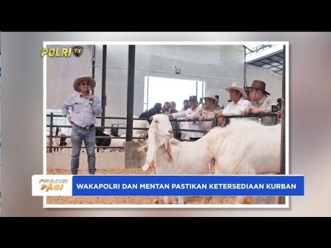 WAKAPOLRI DAN MENTAN PASTIKAN KETERSEDIAAN HEWAN KURBAN