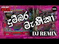 දුම්බර මැණිකා DJ REMIX 2024 Ll SL BUS VIDEO II GINUWA BUS KINGDOM