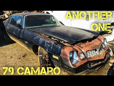 1979 2nd Gen Camaro Junkyard Find