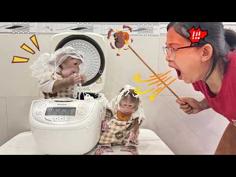 Mom is furious because of Lucky and Sunny’s mischievous behavior!