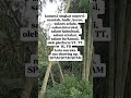 Bukan Pelanggaran Youtube Tapi Spam Chanelku Tidak Ada View Tdk Diangkat Stelah Teguran Dr Youtube