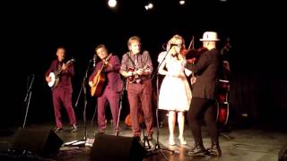 The Coal Porters - Teenage Kicks (Live)