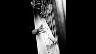 Johannes Brahms   Guten Abend, Gut&#39; Nacht