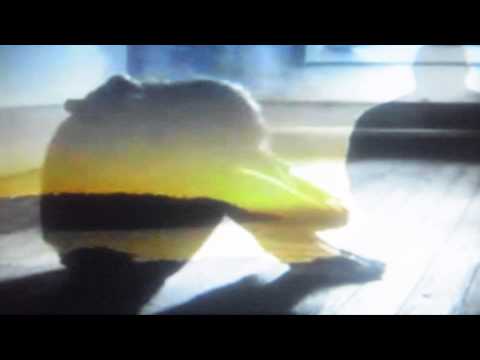 ELVIS PRESLEY 'STARTING TODAY' 1961 (a Don Robertson song)