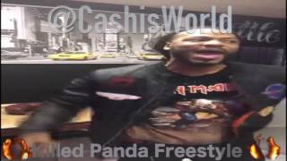 CashisWorld-Panda Freestyle