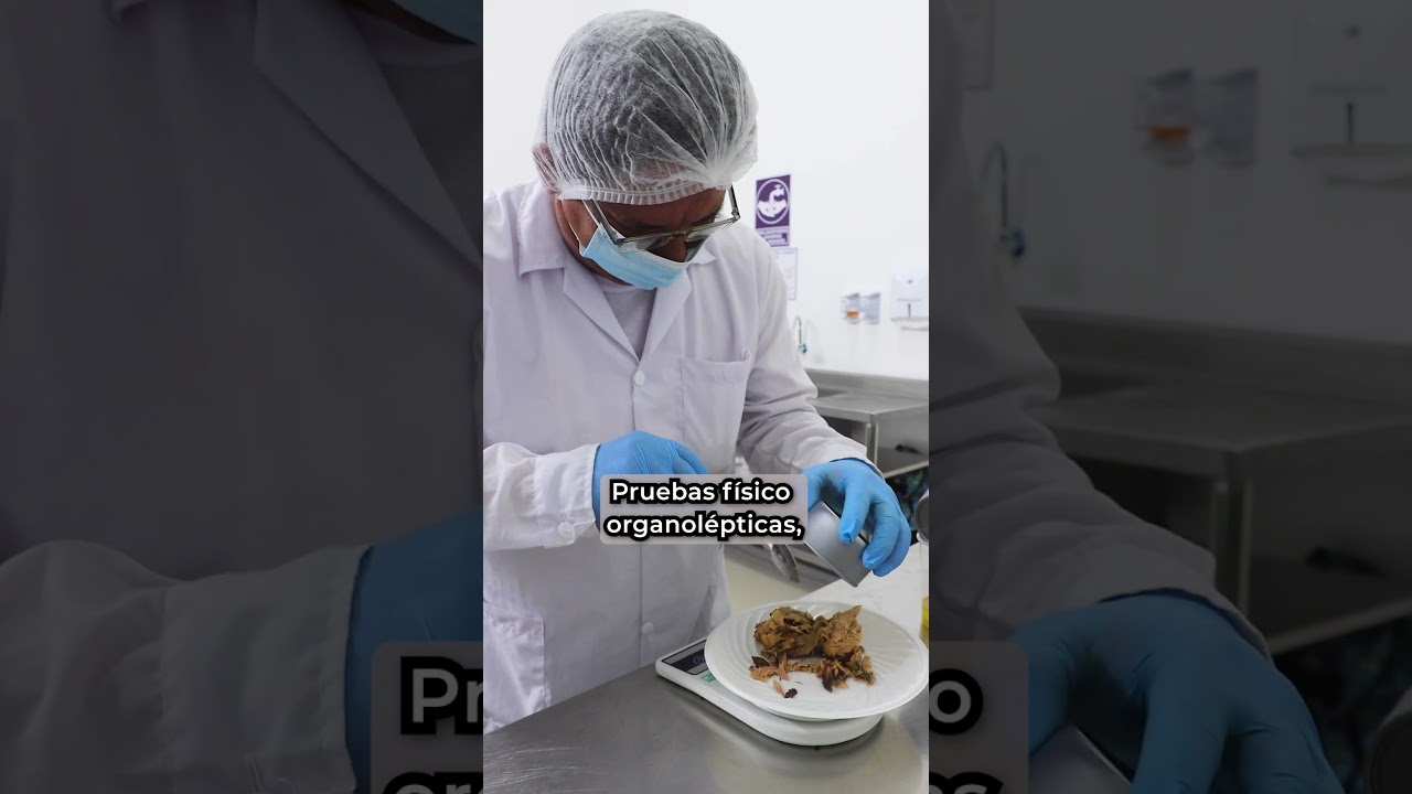 ¡Iniciamos el “Operativo Control”!