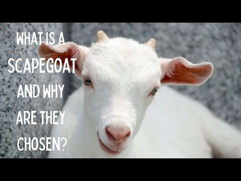 What is a Scapegoat and Why are they Chosen?