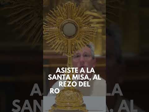 Thumbnail for Día del Seminario - Marzo 2024 Pamplona (IV)