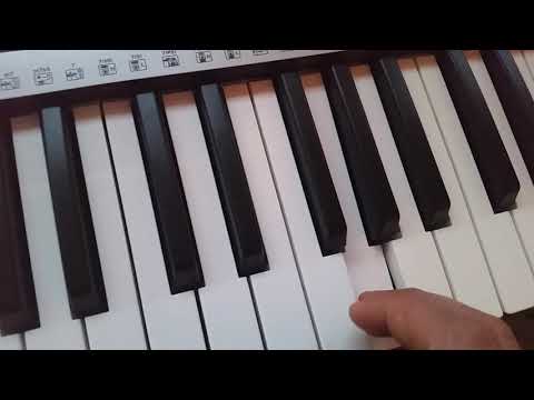 Yamaha keyboard YPT-255 beginner Test