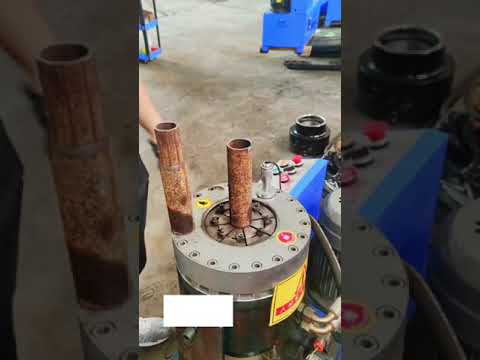 Shorts #short #trending #fyp #reels #reel #foryou #foryoupage #funny #viral  rfwvk