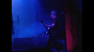 Sad Lovers &amp; Giants - Jungle of lies