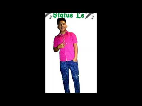 Año Dos Mil Quince - Status Ls