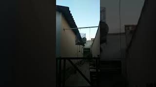 GALADOR MESSI 