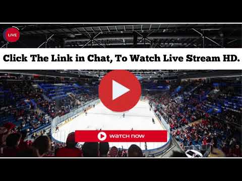 EN DIRECT | Rapaces de Gap vs Angers Ducs Ligue Magnus hockey 2024