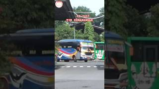 Download lagu Seganteng Ini Bus Sugeng Rahayu #shorts #fyp mp3